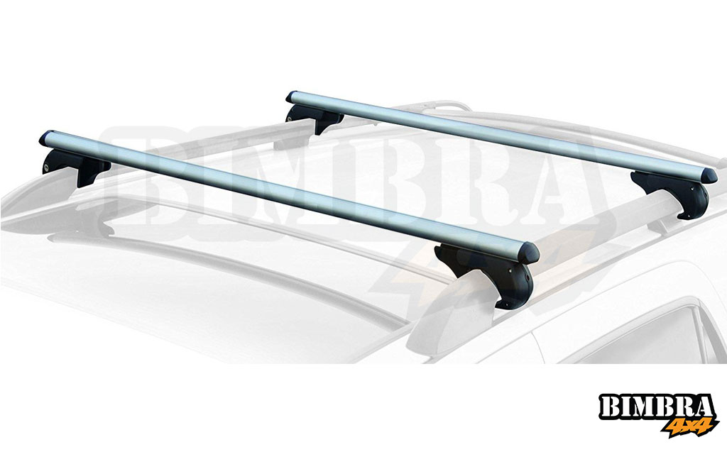 Roof Carrier Rail